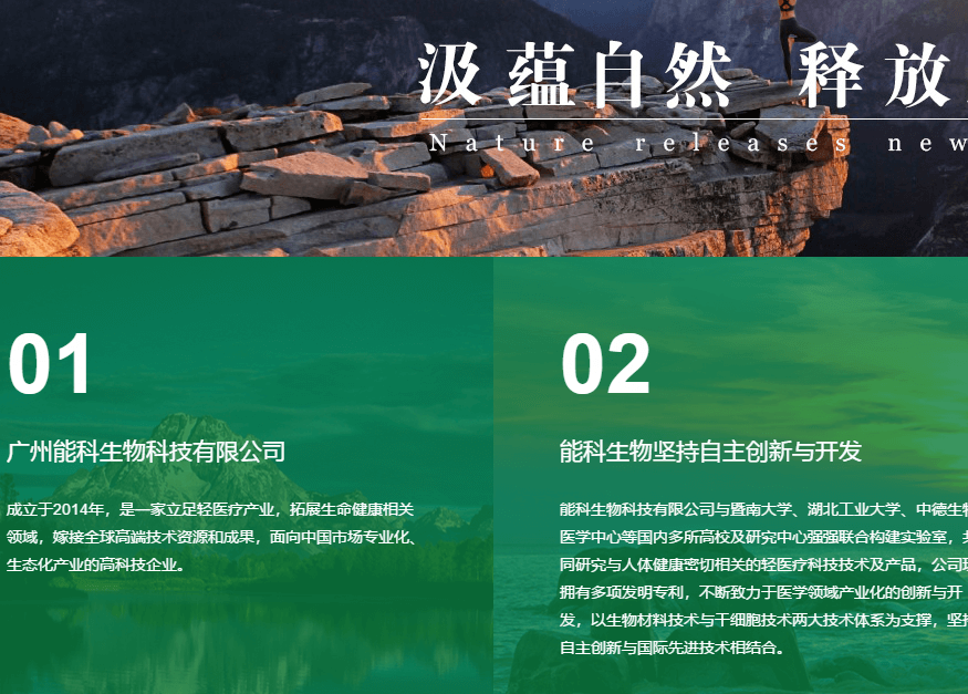 網(wǎng)站模板 NO.6